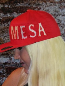 Mesa Hat Vinyl Bill Red Side 1