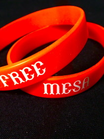 Wrist Bands – Free Mesa 1