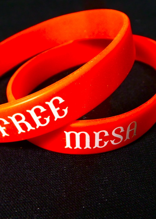 Wrist Bands – Free Mesa 1