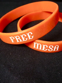 Wrist Bands – Free Mesa